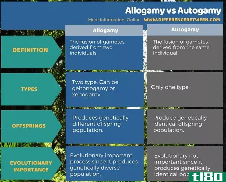 异婚(allogamy)和自配(autogamy)的区别