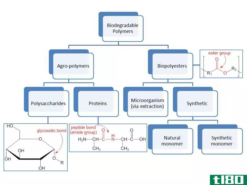 聚合物(polymers)和金属(metals)的区别