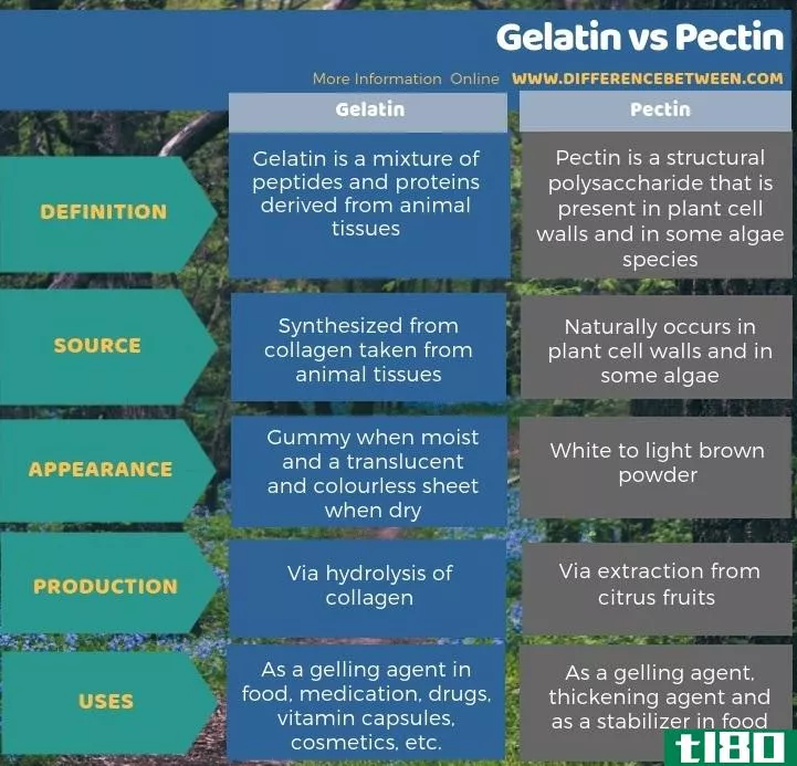 明胶(gelatin)和果胶(pectin)的区别