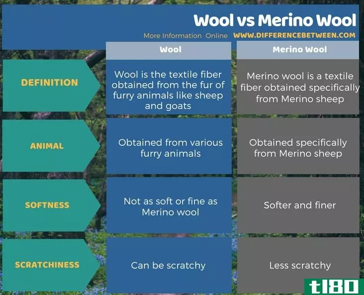 羊毛(wool)和美利奴羊毛(merino wool)的区别