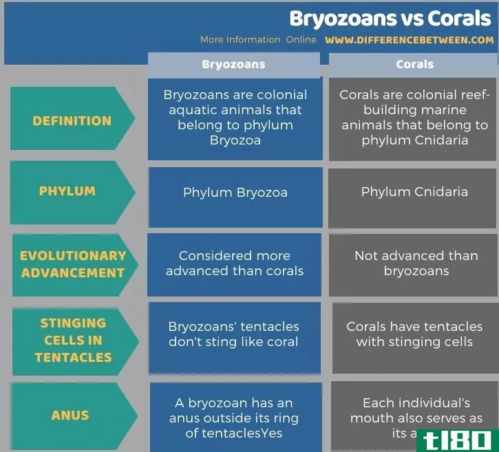 苔藓动物(bryozoans)和珊瑚(corals)的区别