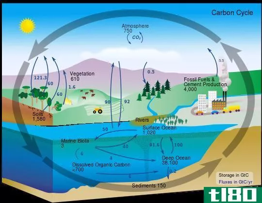 生物碳(bio carbon)和化石碳(fossil carbon)的区别