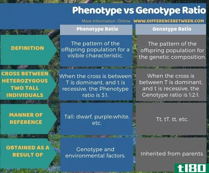 表型(phenotype)和基因型比率(genotype ratio)的区别