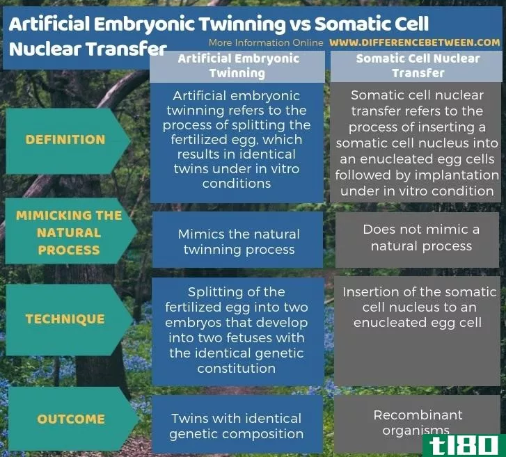 人工胚胎孪生(artificial embryo twinning)和体细胞核移植(somatic cell nuclear transfer)的区别