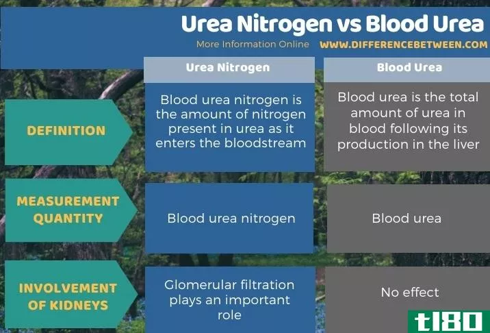 血尿素氮(blood urea nitrogen)和血尿素(blood urea)的区别