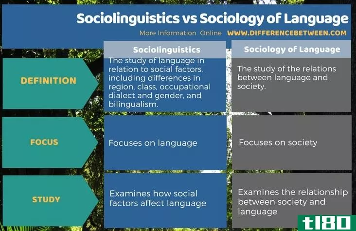 社会语言学(sociolinguistics)和语言社会学(sociology of language)的区别