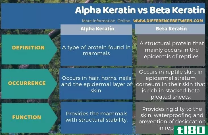 α角蛋白(alpha keratin)和β角蛋白(beta keratin)的区别