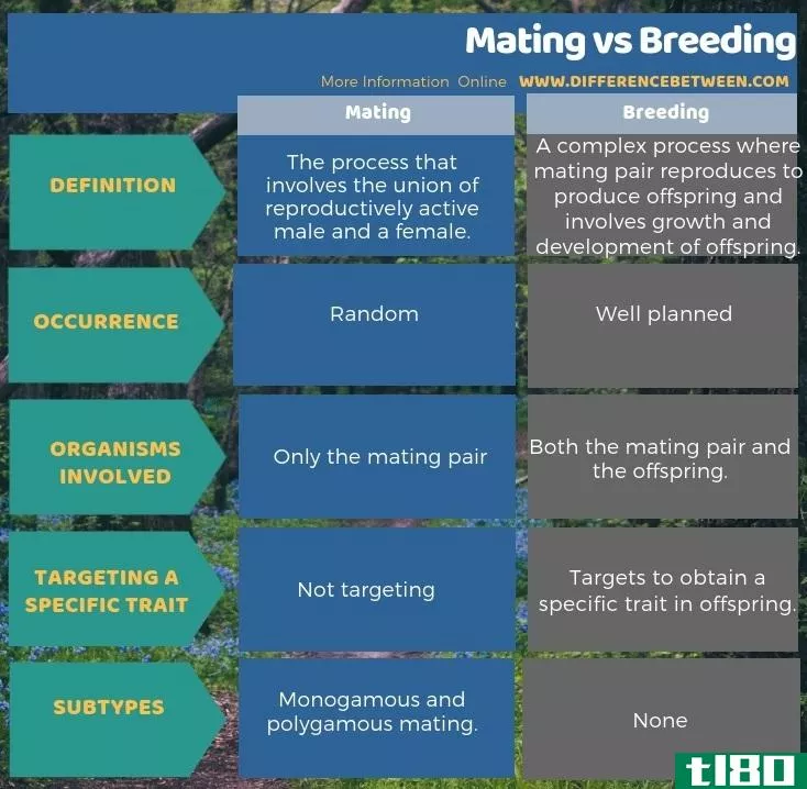 交配(mating)和育种(breeding)的区别