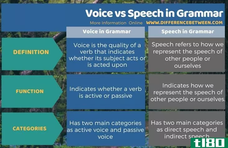嗓音(voice)和语法中的言语(speech in grammar)的区别
