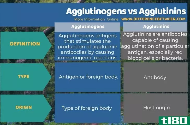 凝集原(agglutinogens)和凝集素(agglutinins)的区别