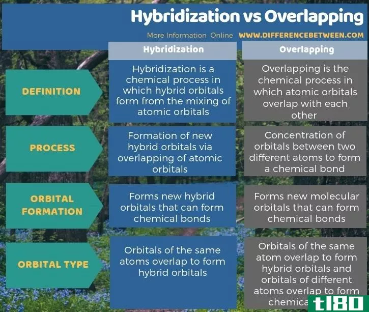 杂交(hybridization)和重叠(overlapping)的区别