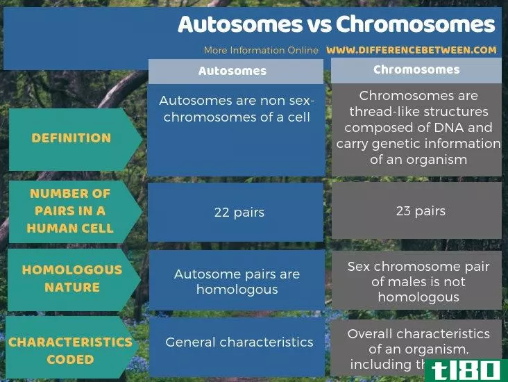 常染色体(autosomes)和染色体(chromosomes)的区别