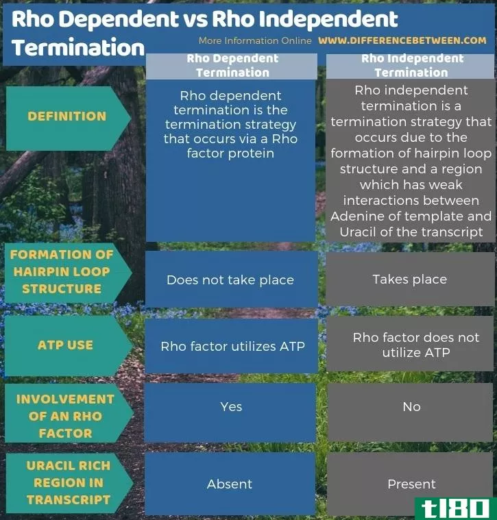 依赖rho(rho dependent)和rho独立终端(rho independent termination)的区别