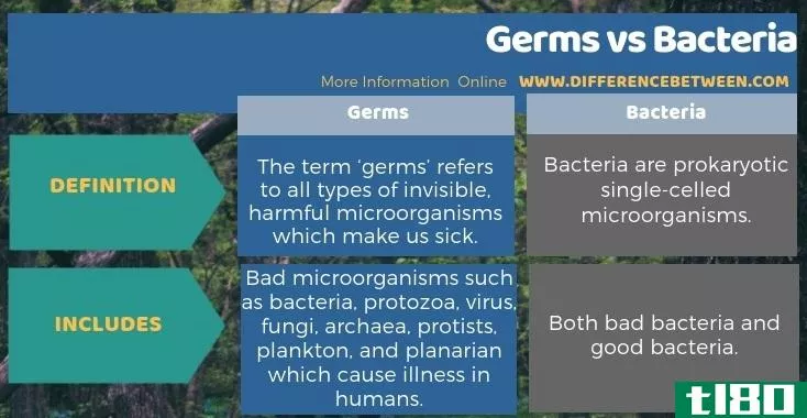 细菌(germs)和细菌(bacteria)的区别