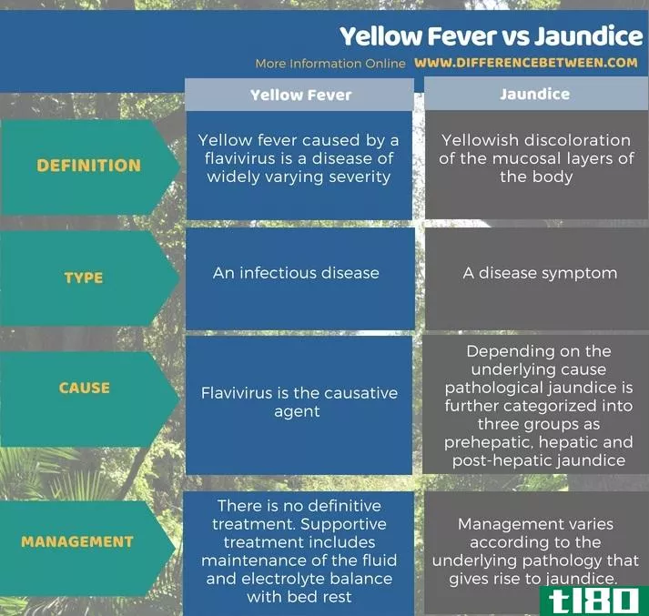 黄热病(yellow fever)和黄疸(jaundice)的区别