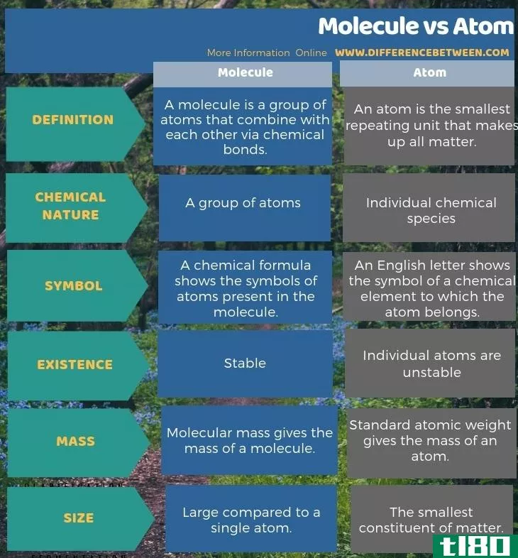 分子(molecule)和原子(atom)的区别
