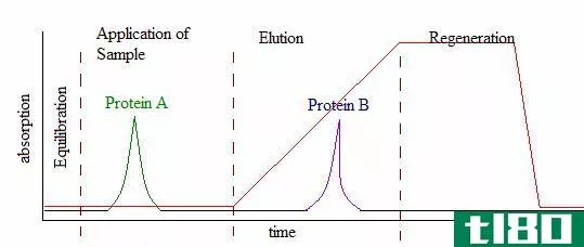 密切关系(affinity)和离子交换色谱法(ion exchange chromatography)的区别