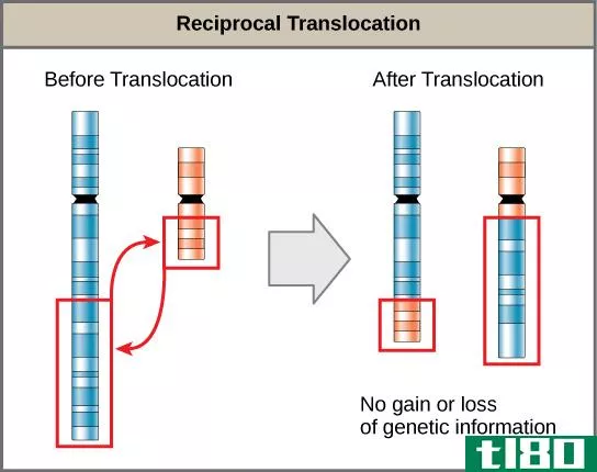 互惠的(reciprocal)和非互易易位(nonreciprocal translocation)的区别
