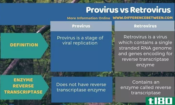前病毒(provirus)和逆转录病毒(retrovirus)的区别