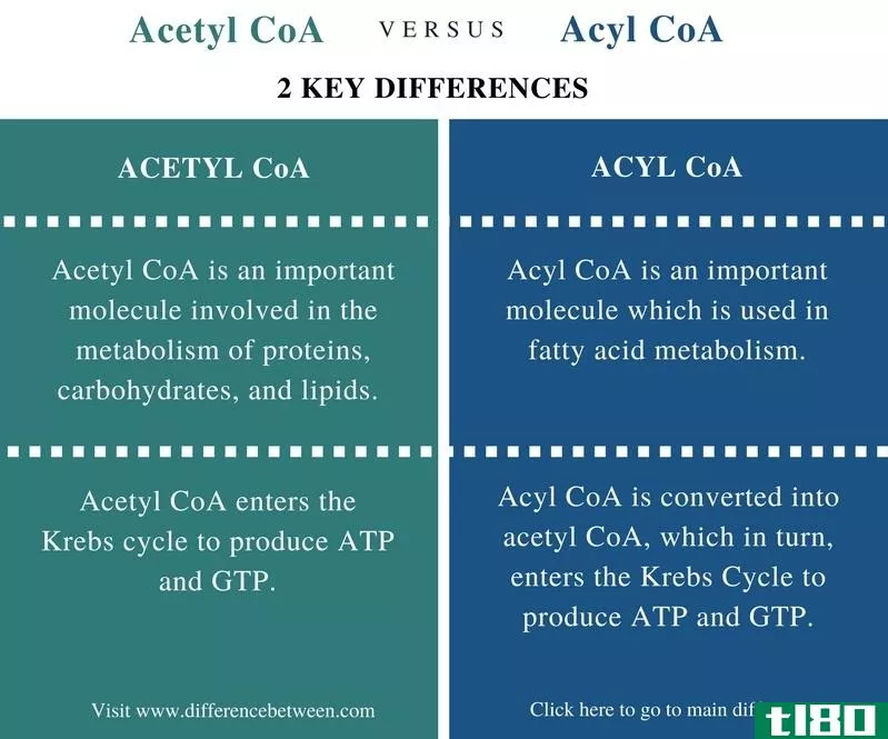 乙酰辅酶A(acetyl coa)和酰基辅酶A(acyl coa)的区别