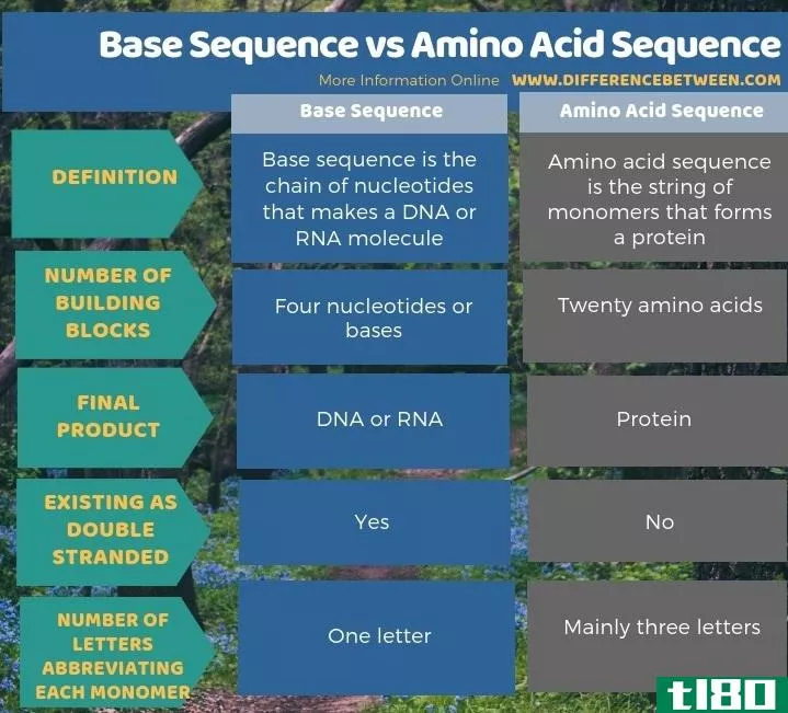 基序列(base sequence)和氨基酸序列(amino acid sequence)的区别