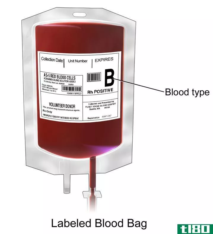 全血(whole blood)和填充电池(packed cell)的区别