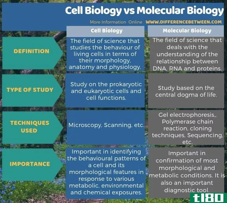 细胞生物学(cell biology)和分子生物学(molecular biology)的区别