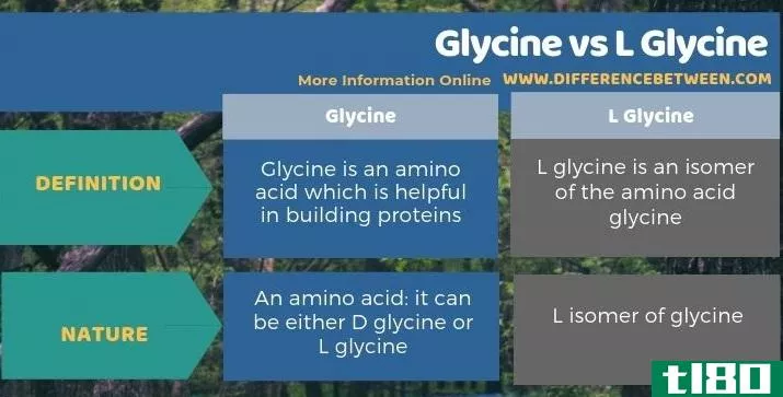 甘氨酸(glycine)和l甘氨酸(l glycine)的区别