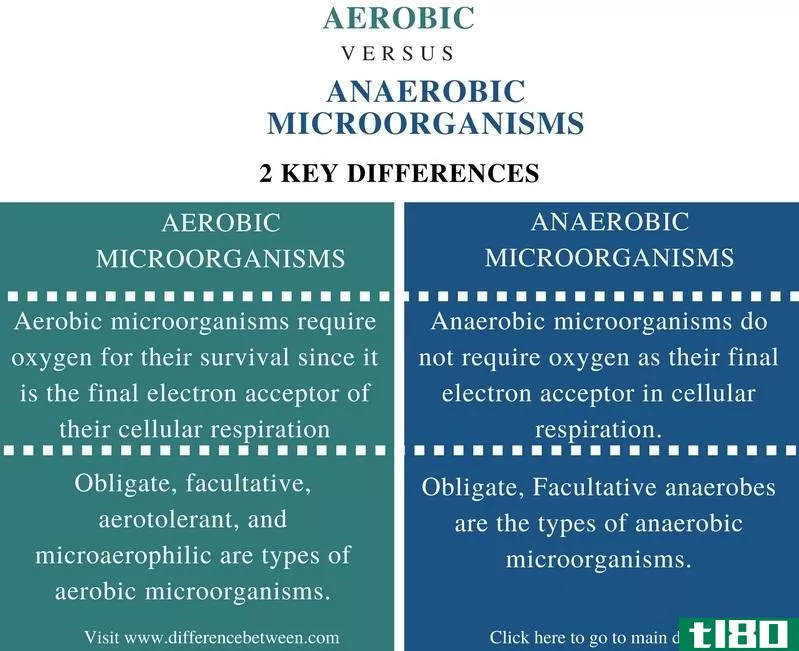 有氧的(aerobic)和厌氧微生物(anaerobic microorgani**s)的区别