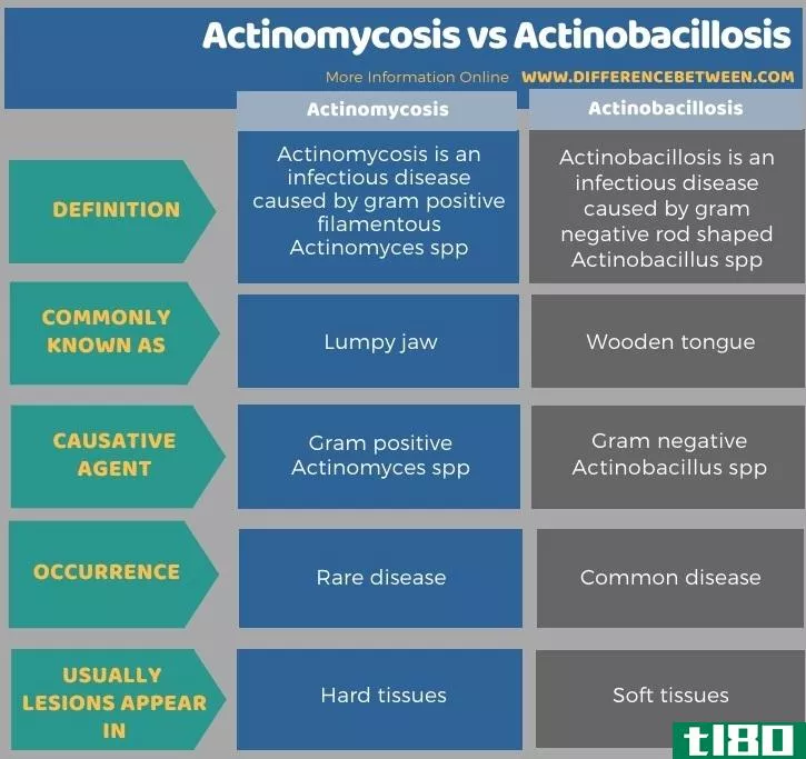 放线菌病(actinomycosis)和放线杆菌病(actinobacillosis)的区别