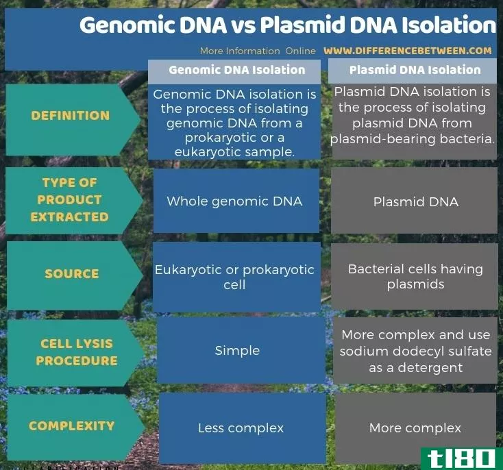 基因组dna(genomic dna)和质粒dna分离(pla**id dna isolation)的区别