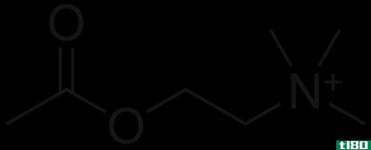 胆碱(choline)和乙酰胆碱(acetylcholine)的区别
