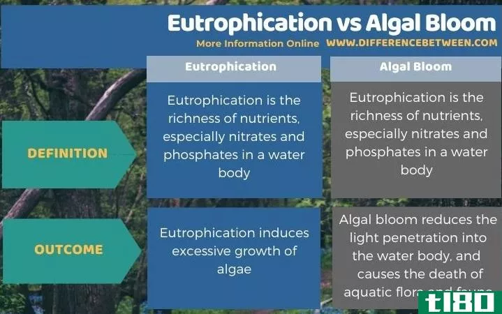 富营养化(eutrophication)和水华(algal bloom)的区别