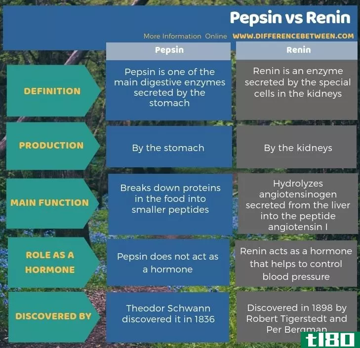 胃蛋白酶(pepsin)和肾素(renin)的区别