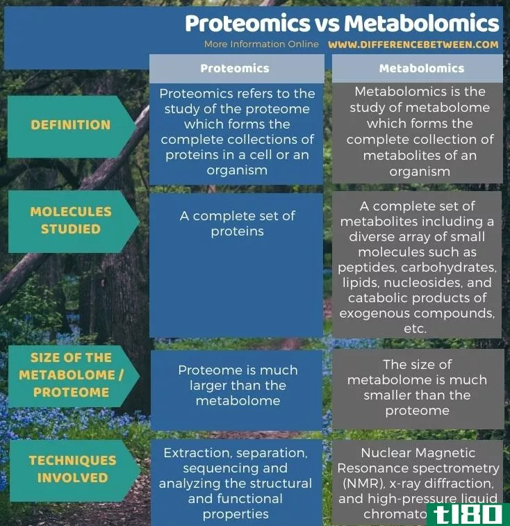 蛋白质组学(proteomics)和代谢组学(metabolomics)的区别