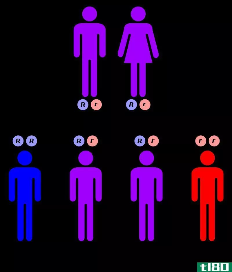 基因检测(genetic testing)和筛选(screening)的区别