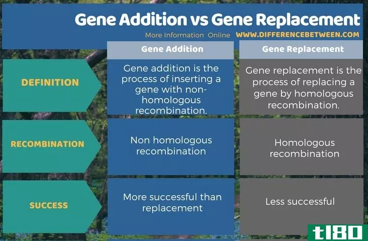基因加成(gene addition)和基因置换(gene replacement)的区别