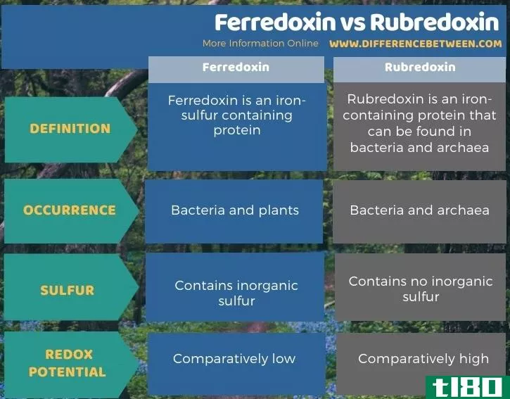 铁氧还蛋白(ferredoxin)和红霉素(rubredoxin)的区别