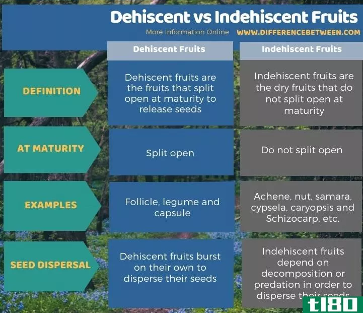 裂开(dehiscent)和不裂果实(indehiscent fruits)的区别