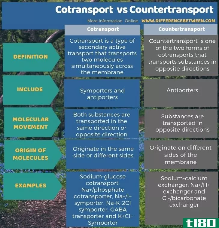 共同运输(cotransport)和反运(countertransport)的区别