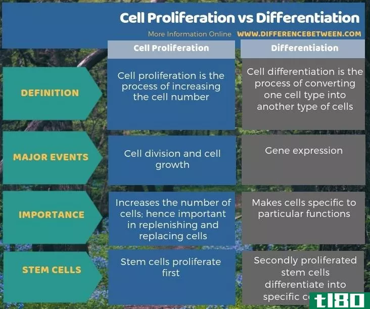 细胞增殖(cell proliferation)和区别(differentiation)的区别