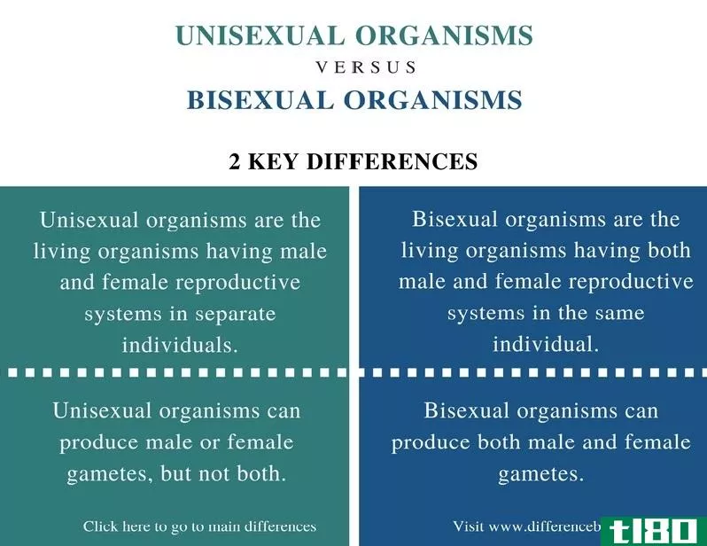 单性恋(unisexual)和两性生物(bisexual organi**s)的区别