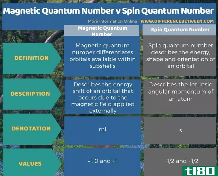 磁量子数(magnetic quantum number)和自旋量子数(spin quantum number)的区别
