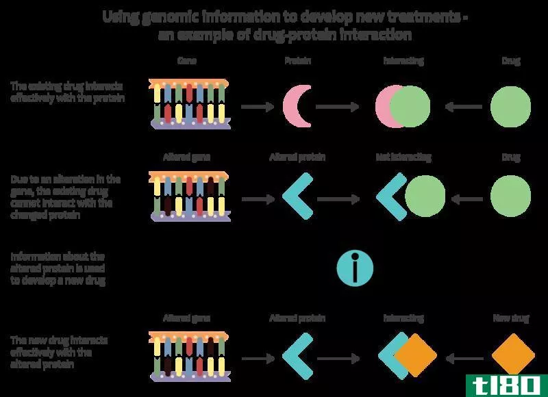 基因组学(genomics)和蛋白质组学(proteomics)的区别