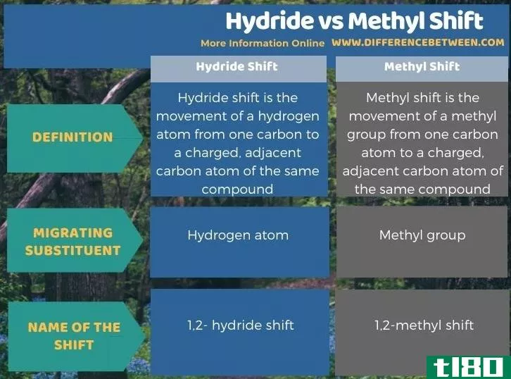 氢化物(hydride)和甲基转移(methyl shift)的区别