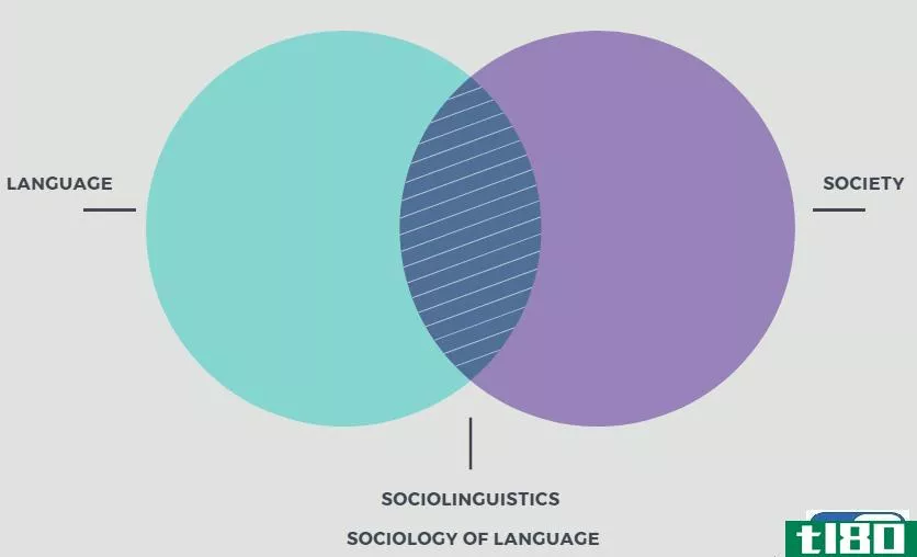 社会语言学(sociolinguistics)和语言社会学(sociology of language)的区别