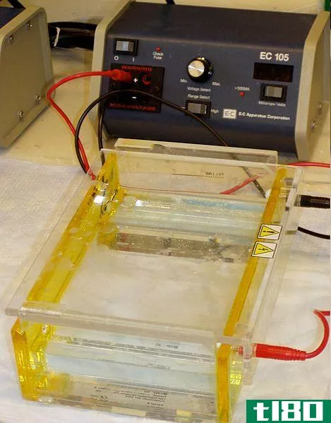 水平的(horizontal)和垂直凝胶电泳(vertical gel electrophoresis)的区别