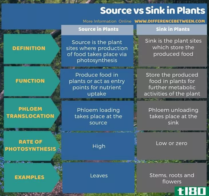来源(source)和沉入植物(sink in plants)的区别