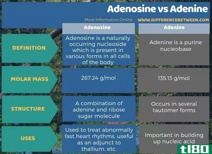 腺苷(adenosine)和腺嘌呤(adenine)的区别