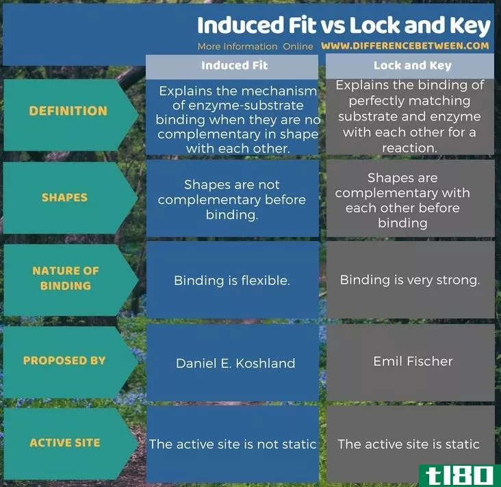 诱导拟合(induced fit)和锁(lock)的区别